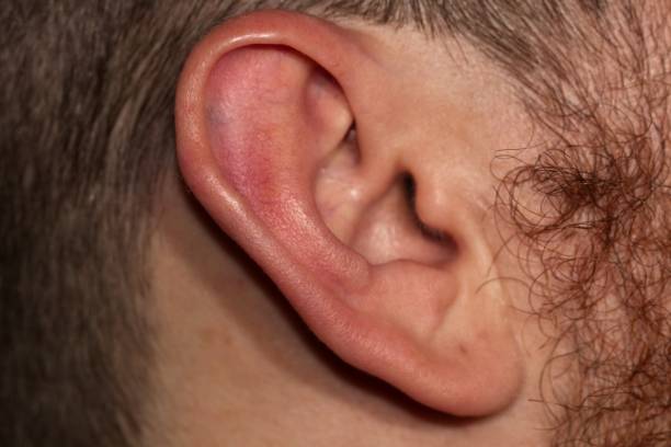 istock Close up of ear 925476018