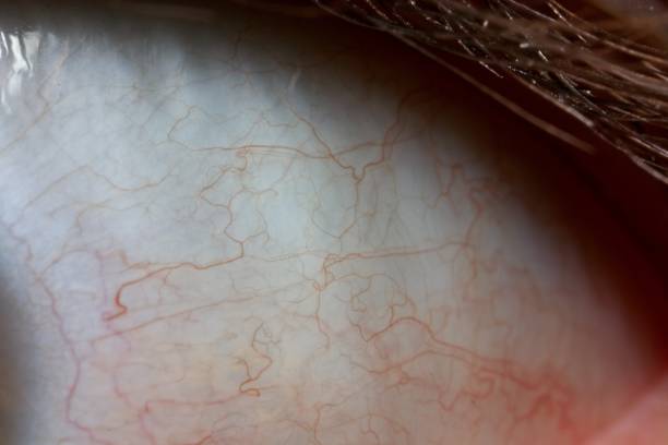 istock Close up of eyes 925476220