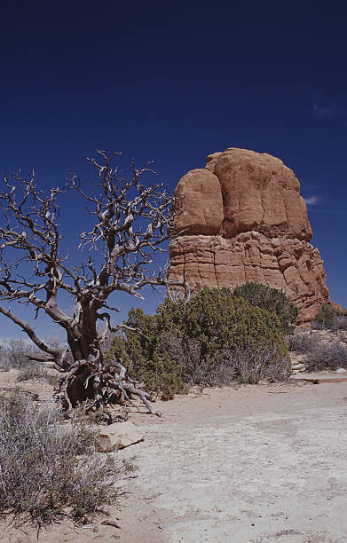 brown rock stock photo