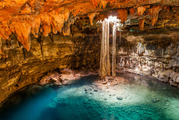 istock Cenote on the Yucatan Peninsula, Mexico 925477464