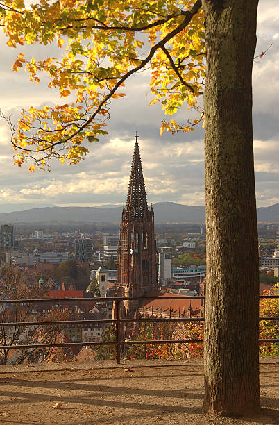 minster of Freiburg im Breisgau in fall stock photo