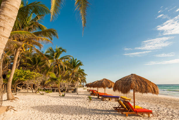 istock White sand tropical beach in Tulum Mexico 925480682