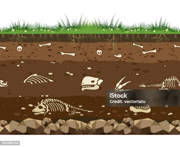 Soil With Dinosaur Bones Stock Illustration - Download Image Now - Fossil, Dinosaur, Multi-Layered Effect