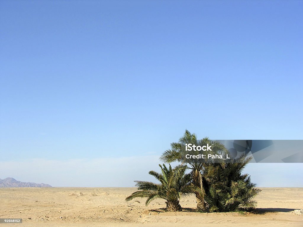 oasis en el desierto - Foto de stock de Oasis - Desierto libre de derechos