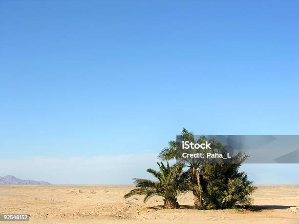 Oasis En El Desierto Foto de stock y más banco de imágenes de Oasis - Desierto - Oasis - Desierto, Desierto, Aire libre
