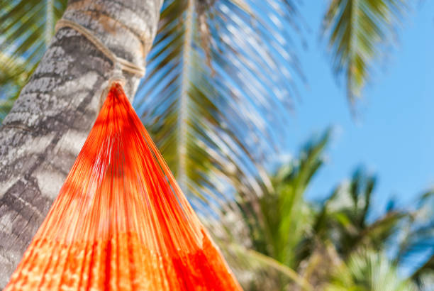 the view from the top. girl in white dress lying in a hammock in the garden.