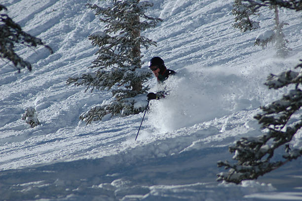 istock Skiing in the powder 92548212