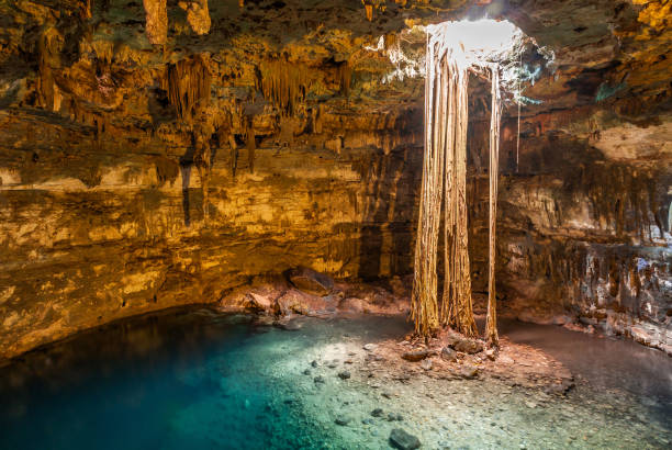istock Cenote on the Yucatan Peninsula, Mexico 925483682