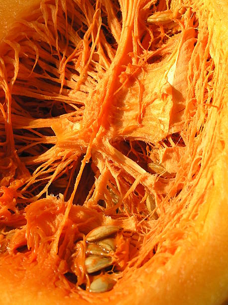 Macro pumpkin fragment background