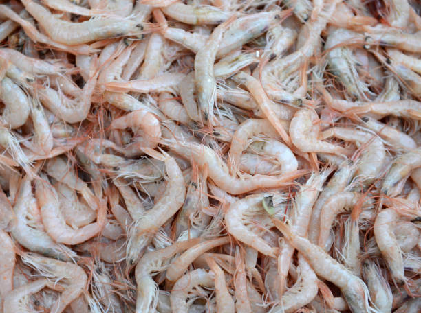 istock Group of fresh raw shrimp, healthy seafood. 925493568