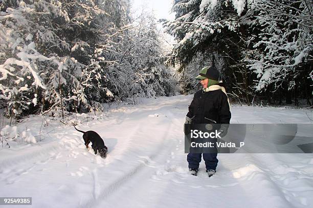 Escena De Invierno Foto de stock y más banco de imágenes de Niños - Niños, Perro tejonero, Aire libre