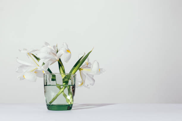 istock Flowers irises in a green vase 925494384