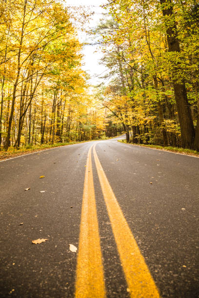 istock road through autumn trees in New England 925494672