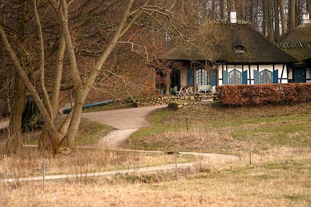 istock house in the forest 92549479