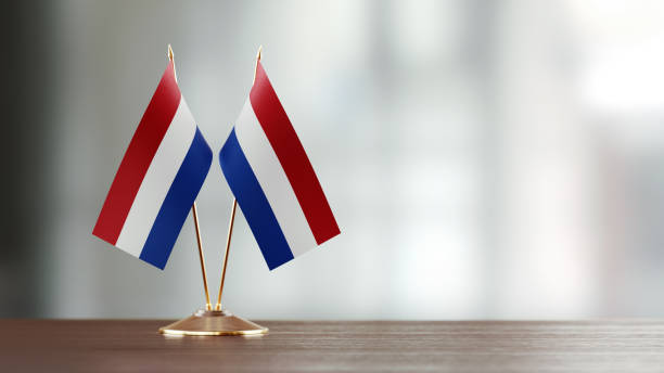 istock Dutch Flag Pair On A Desk Over Defocused Background 925494794