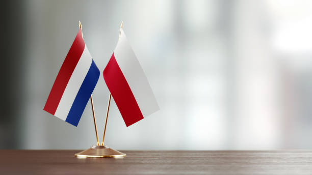 istock Polish And Dutch Flag Pair On A Desk Over Defocused Background 925497310