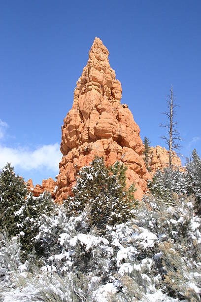 istock Hoodoo at Bryce Canyon Nat'l Park 92550474