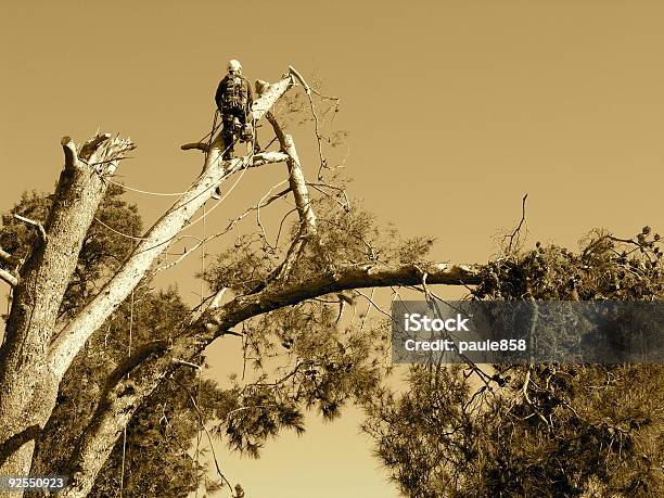 Arbeitet Mann 1 Stockfoto und mehr Bilder von Bauarbeiterhelm - Bauarbeiterhelm, Baum, Berufliche Beschäftigung