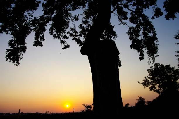 croix silhouette de - god landscape majestic cross photos et images de collection