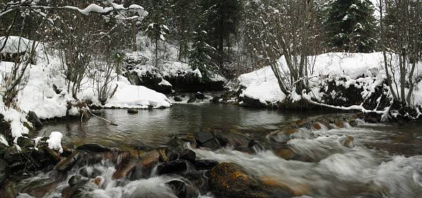 A stunning winter landscape with snow-covered mountains and woods. Montana, USA