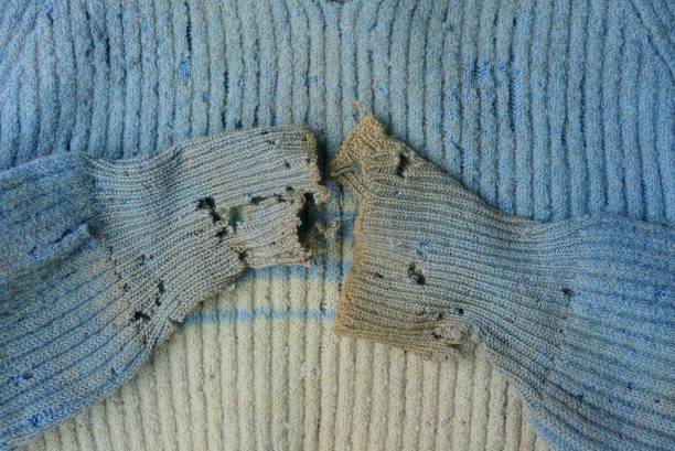 texture of fabric from an old sweater with torn sleeves background of colored fabric from an old sweater with torn sleeves ragged clothes stock pictures, royalty-free photos & images