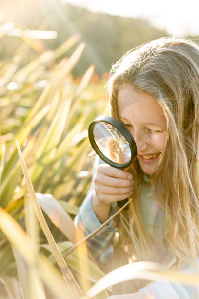 istock Cute girl using magnifying glass if field 925512596