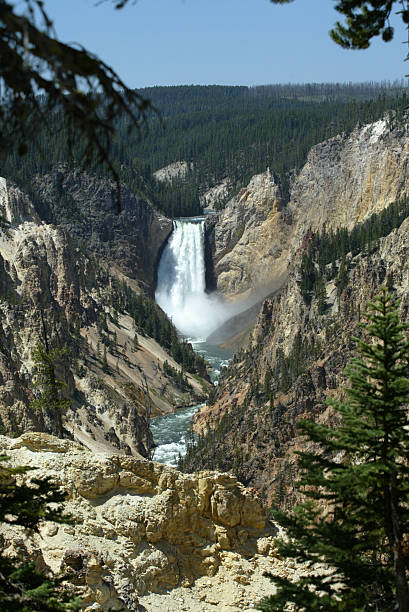 Cascata - fotografia de stock