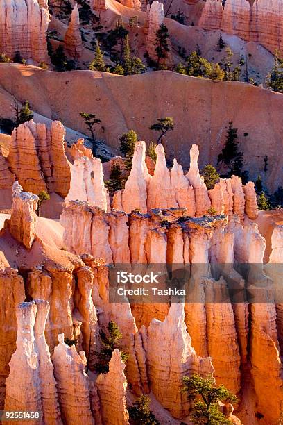 Bryce Canyon Utah - Fotografie stock e altre immagini di Adulazione - Adulazione, Ambiente, Anfiteatro