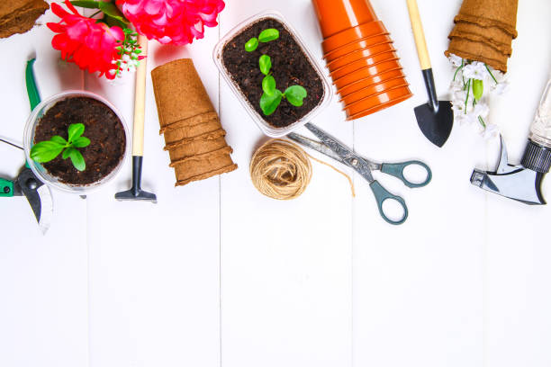 istock Garden tools, pots, seedlings on a white wooden table. Copy the space. Top view. 925515462