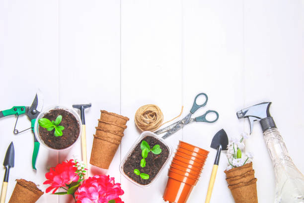 istock Garden tools, pots, seedlings on a white wooden table. Copy the space. Top view. 925515474