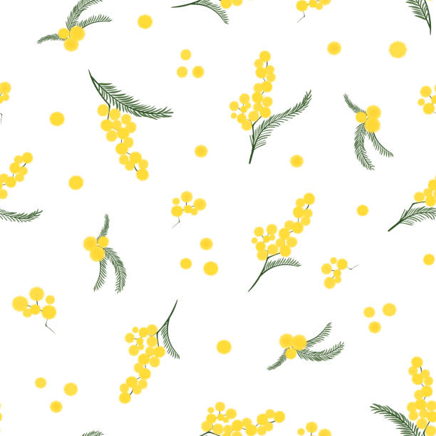 Spring seamless pattern with branches of mimosa. Vector. Spring seamless pattern with branches of mimosa. mimosa stock illustrations