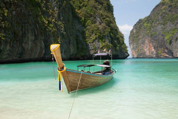 лучшие пляжи таиланда - thailand surat thani province ko samui coconut palm tree стоковые фото и изображения