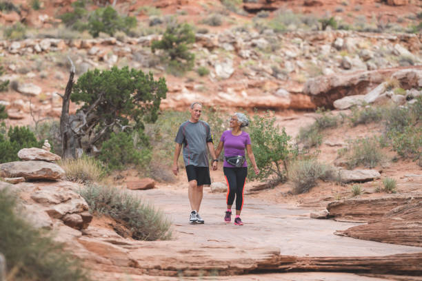 istock Senior Couple Hiking in Desert 925535198