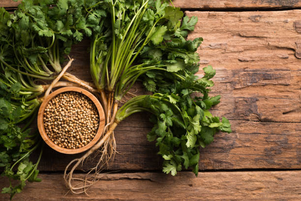 istock Coriander seeds and leaves on a wood background 925553588