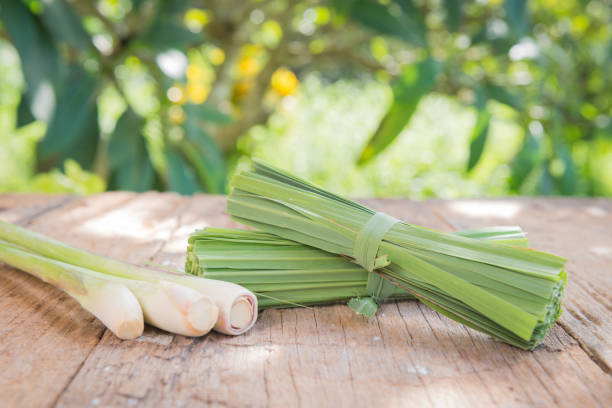 istock Fresh lemon grass on wood background 925553596