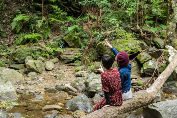 istock Girls' trip 925562540