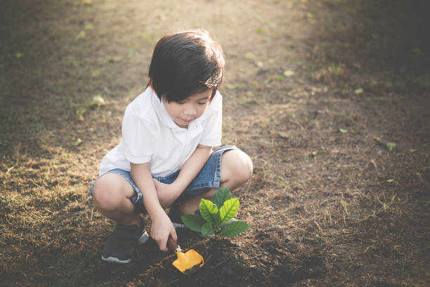 istock Cute Asian child planting young tree on the black soil 925565122