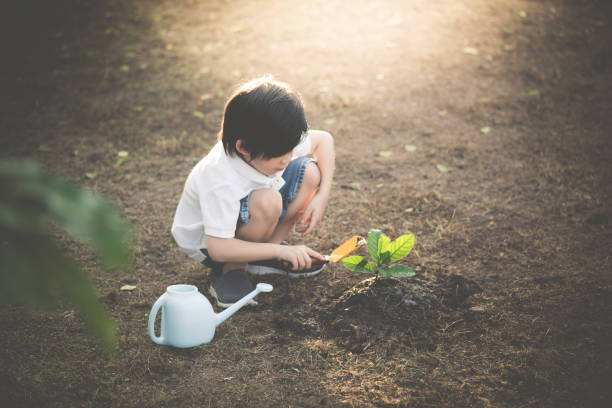 istock Cute Asian child planting young tree on the black soil 925565176