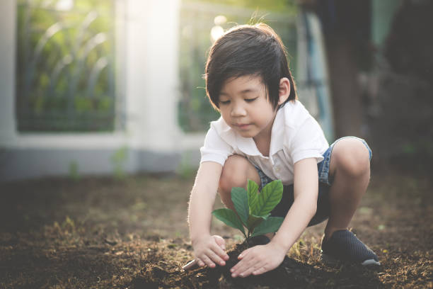 Cute Asian child planting young tree on the black soil