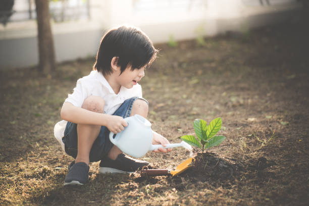 istock Cute Asian child watering young tree 925565236