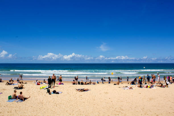 호주 해변에 사람들 - manly beach summer beach pacific ocean 뉴스 사진 이미지