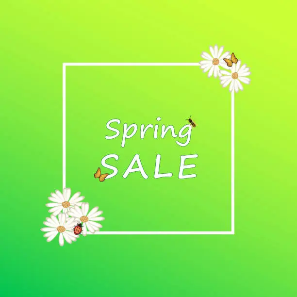 Vector illustration of Spring Summer Background Green Color White Flowers Sale Sign Frame Poster Placard Banner