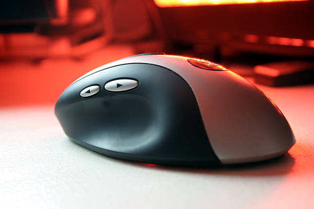 Mouse stock photo