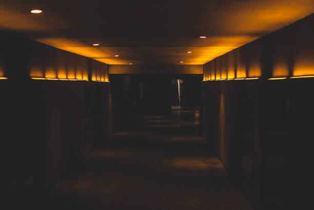 istock Shady underground tunnel near subway station 925571048