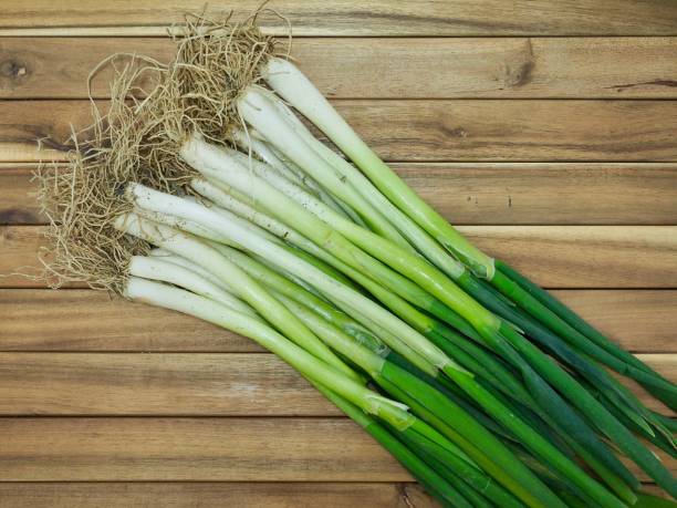 Fresh organic vegetables Welsh onion stock photo