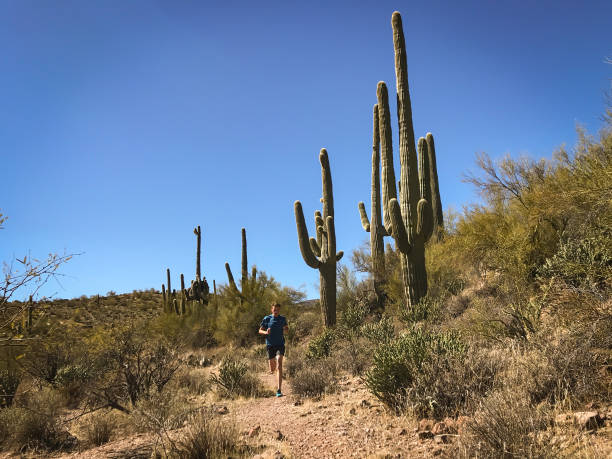 istock Desert ultra trail running 925582838