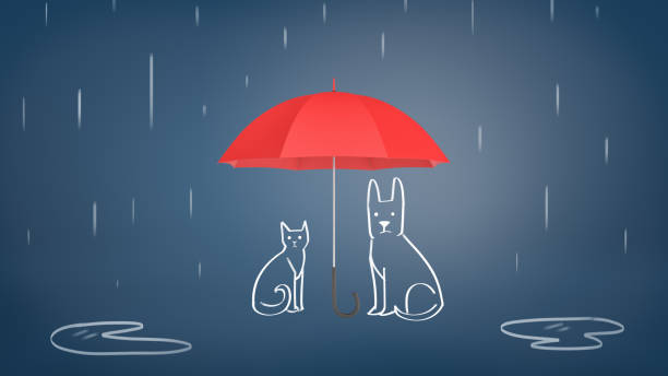 rendering 3d di un ombrello rosso aperto che copre il gesso disegnato gatto e cane dalla pioggia su sfondo blu - under the weather foto e immagini stock