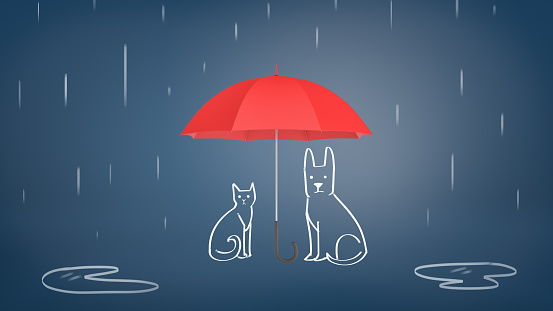 3d rendering of a open red umbrella covering chalk drawn cat and dog from rain on a blue background. Raining cats and dogs. Family insurance. Protection from disasters.