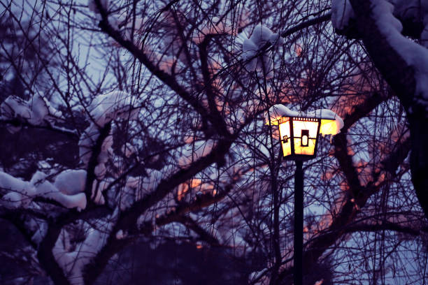 istock snow falling on the street lamp pole 925593820