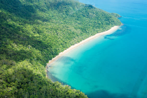 istock Aerial of Cape Tribulation, Australia 925594044